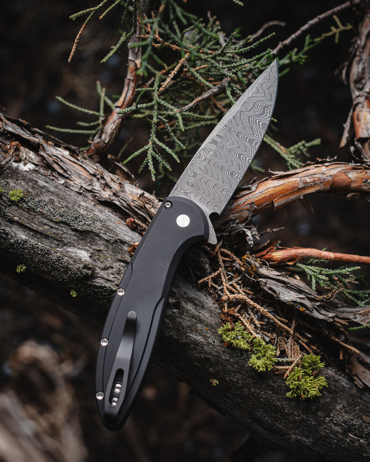 Pro-Tech Cambria 2 Flipper Custom 005 Al Maple Burl Blade Show Atlanta 2025 (3.5" Damascus)